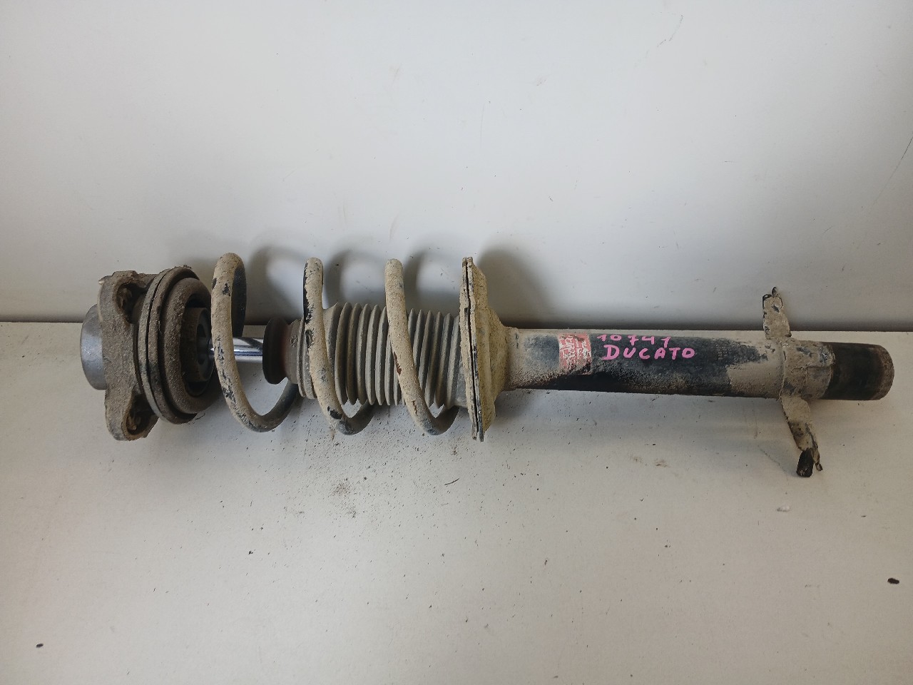 Ammortizzatore sx FIAT DUCATO