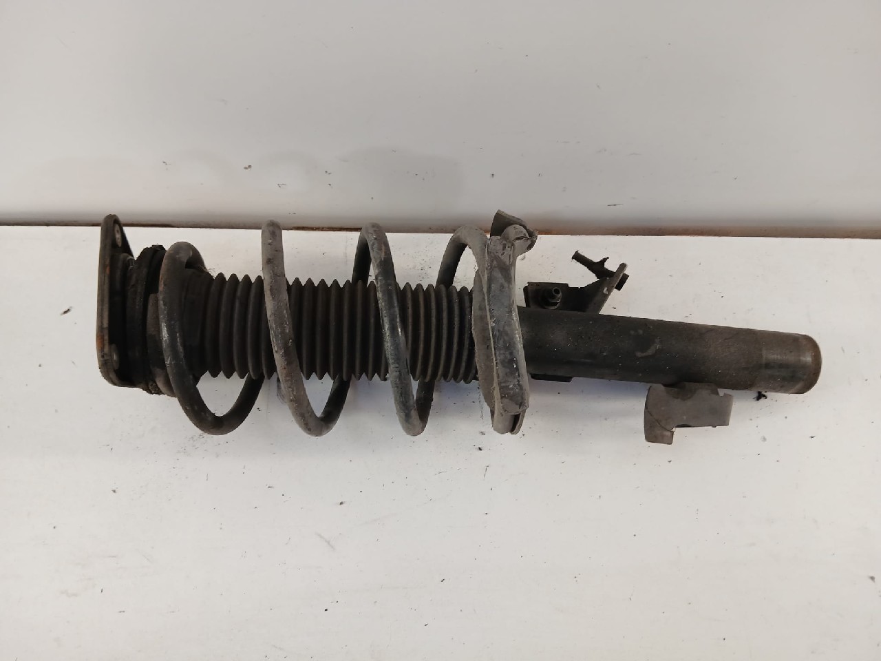 Ammortizzatore ant sx FORD FOCUS