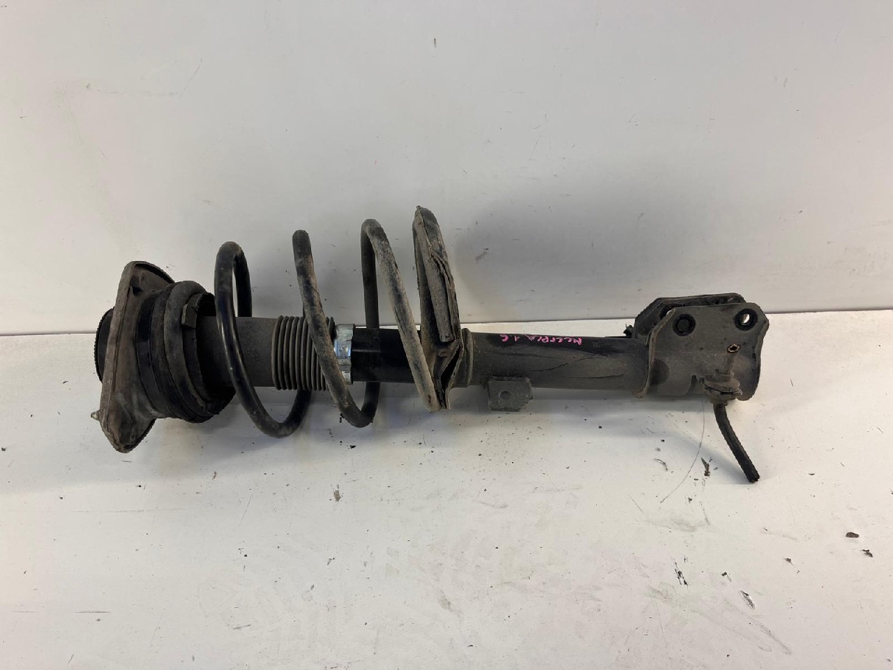 Ammortizzatore ant sx FIAT MULTIPLA