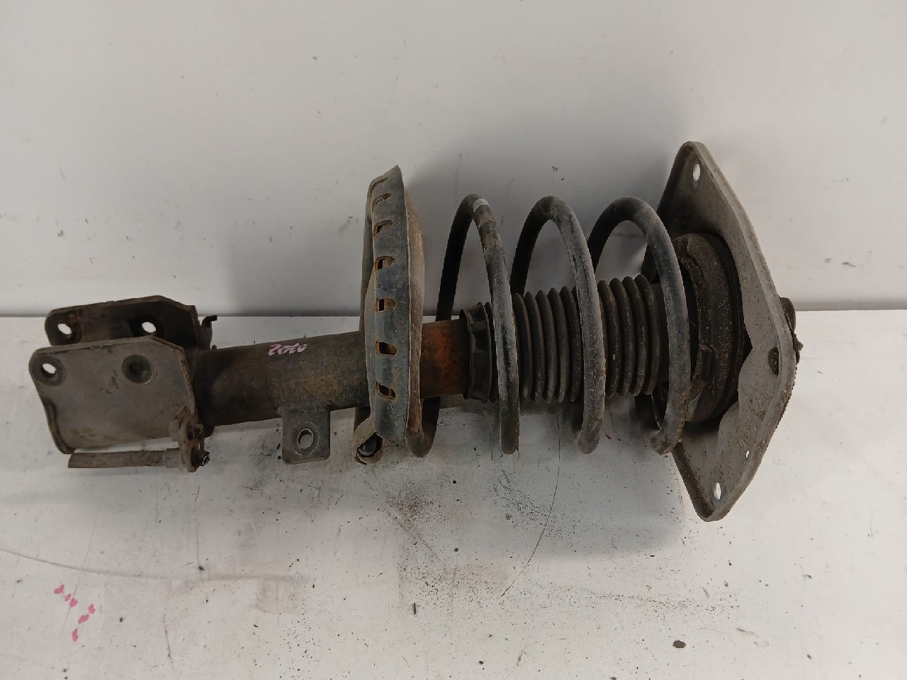 Ammortizzatore ant dx FIAT SCUDO