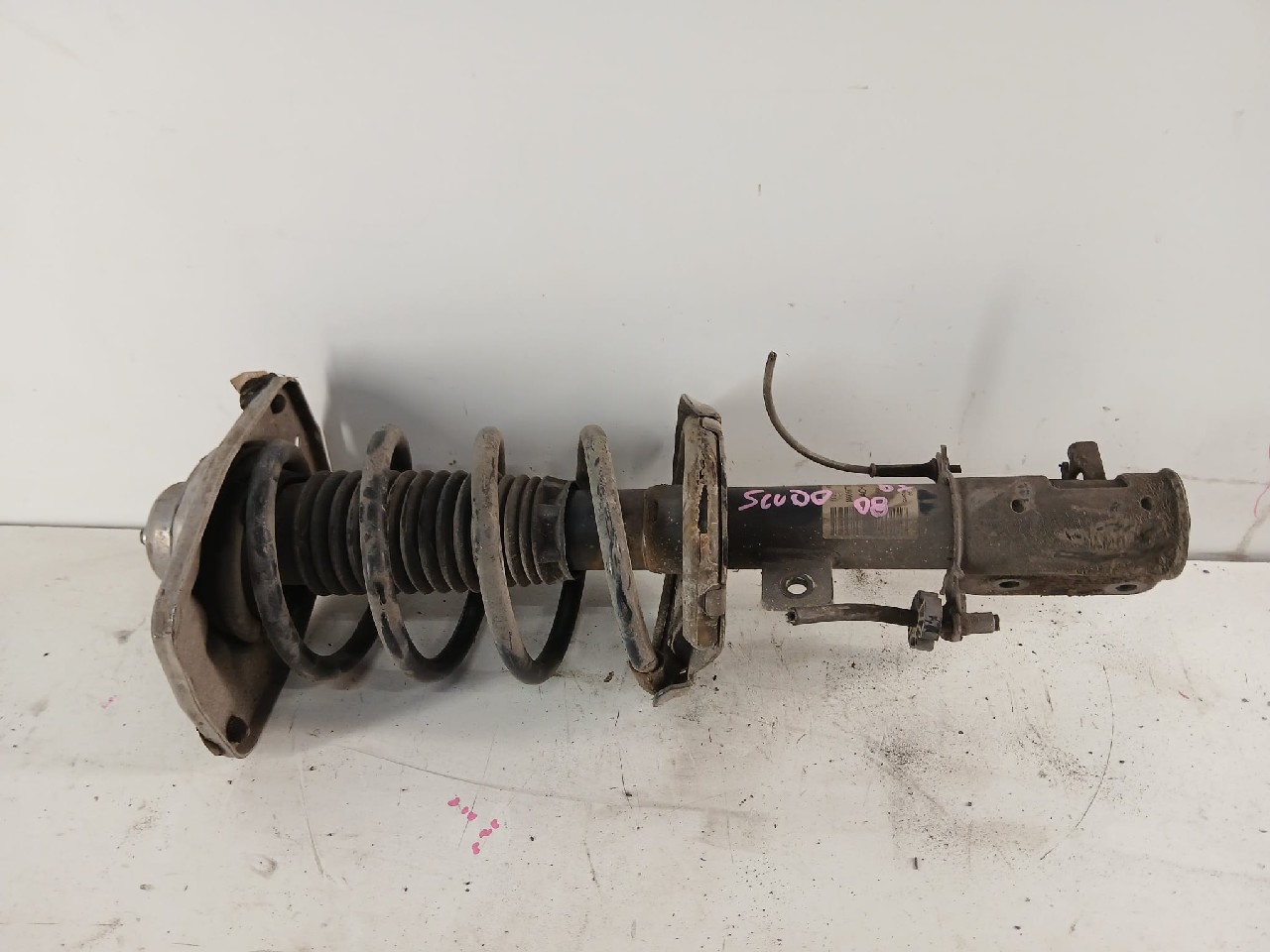 Ammortizzatore ant dx FIAT SCUDO