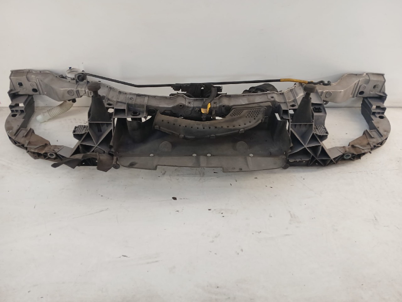 Rivestimento ant FORD C-MAX