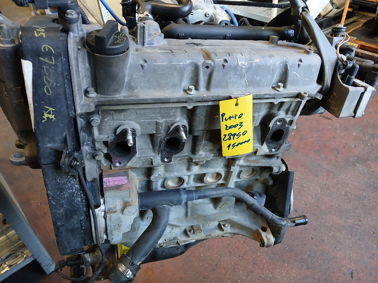 Motore FIAT PUNTO
