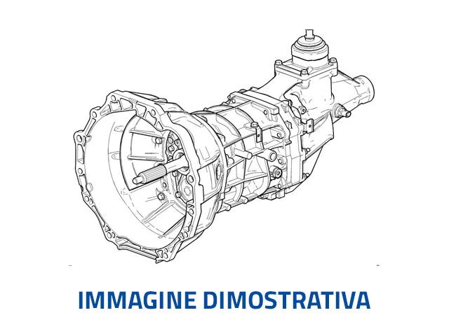 Cambio MINI MINI